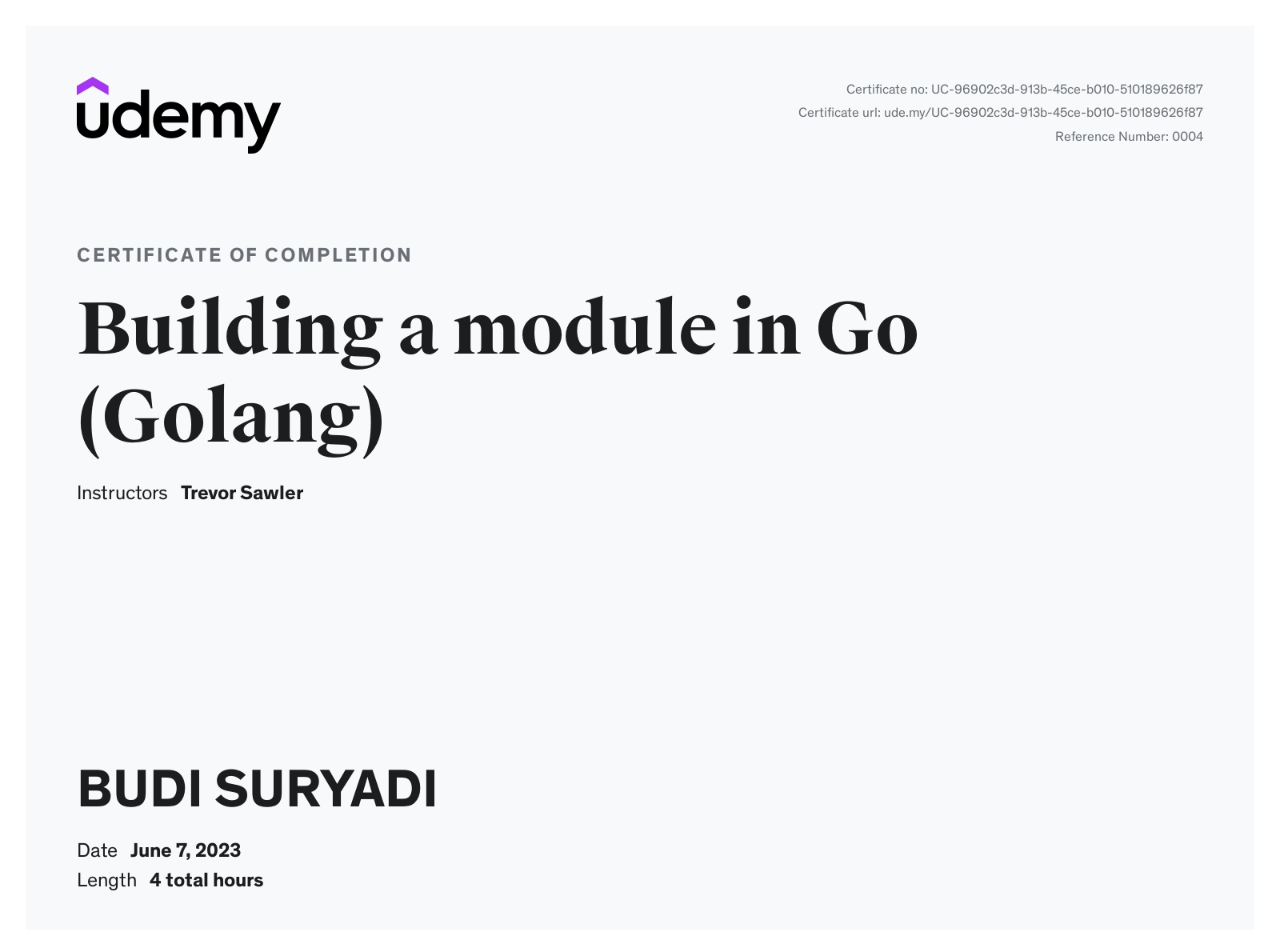 Building a module in Go (Golang)